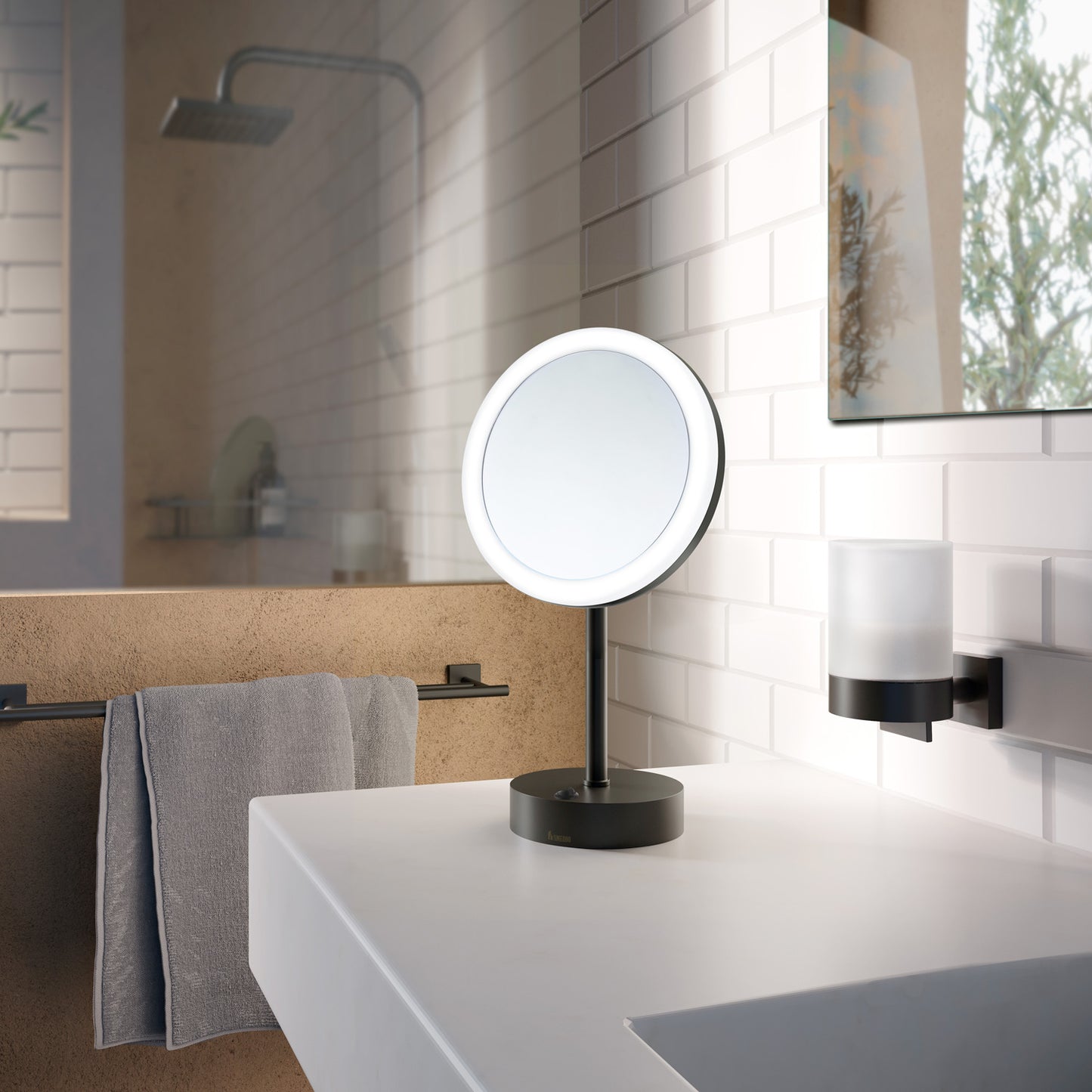 Shaving/Make-up Mirror